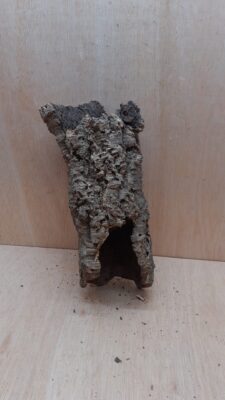 Medium Cork Tube - Upto 40cm - 24