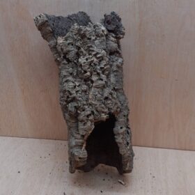Medium Cork Tube - Upto 40cm - 24