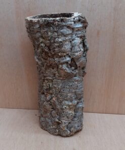 Medium Cork Tube - Upto 40cm - 25