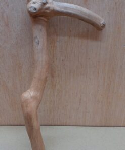 Java Wood - Single Stem - Small 11