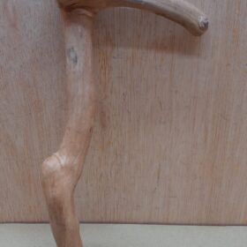 Java Wood - Single Stem - Small 11