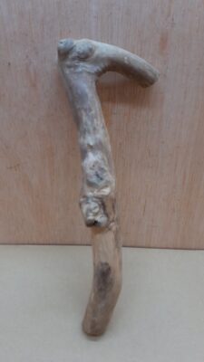 Java Wood - Single Stem - Small 12