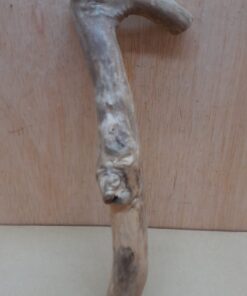 Java Wood - Single Stem - Small 12