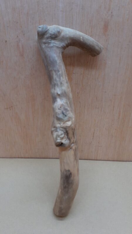 Java Wood - Single Stem - Small 12