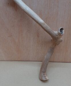 Java Wood - Single Stem - Small 13