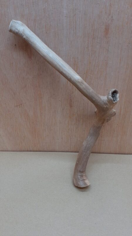 Java Wood - Single Stem - Small 13