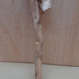 Java Wood - Single Stem - Small 14