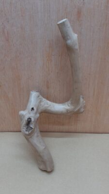 Java Wood - Single Stem - Small 15
