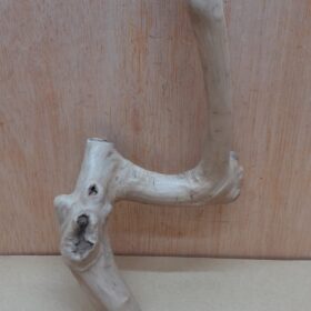 Java Wood - Single Stem - Small 15