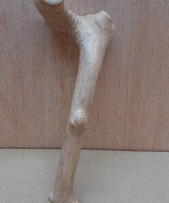 Java Wood - Single Stem - Small 16