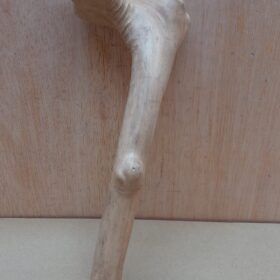 Java Wood - Single Stem - Small 16