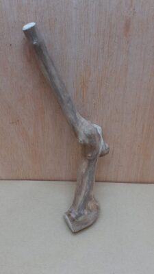Java Wood - Single Stem - Small 18