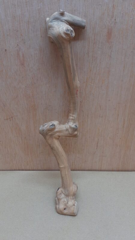 Java Wood - Single Stem - Small 19