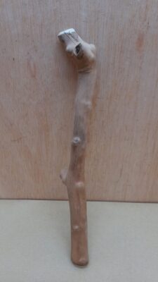 Java Wood - Single Stem - Small 20
