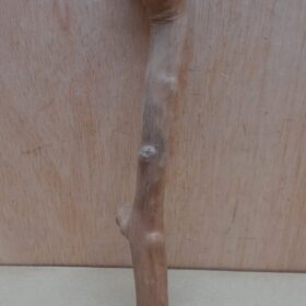 Java Wood - Single Stem - Small 20