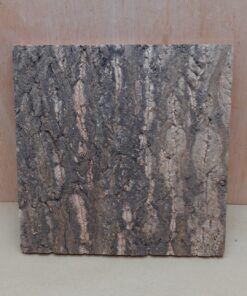 Cork Bark Background Panel 30x30cm - 11