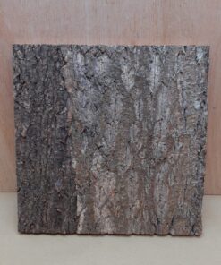 Cork Bark Background Panel 30x30cm - 12