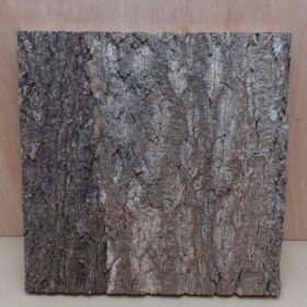 Cork Bark Background Panel 30x30cm - 12