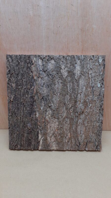 Cork Bark Background Panel 30x30cm - 12