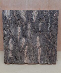 Cork Bark Background Panel 30x30cm - 13