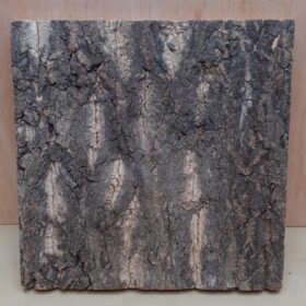 Cork Bark Background Panel 30x30cm - 13
