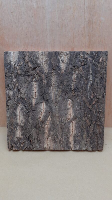 Cork Bark Background Panel 30x30cm - 13