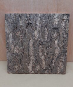 Cork Bark Background Panel 30x30cm - 14