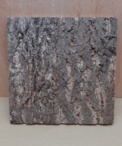 Cork Bark Background Panel 30x30cm - 15