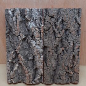 Cork Bark Background Panel 30x30cm - 17