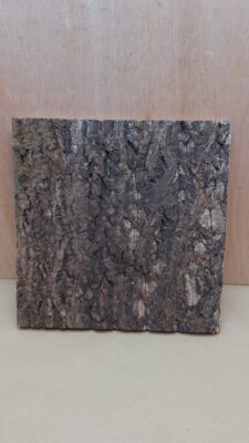 Cork Bark Background Panel 30x30cm - 18