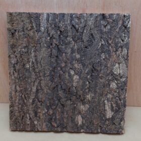 Cork Bark Background Panel 30x30cm - 18