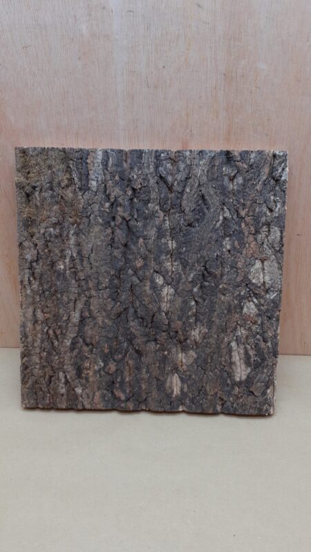 Cork Bark Background Panel 30x30cm - 18