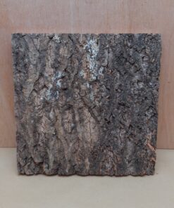 Cork Bark Background Panel 30x30cm - 19