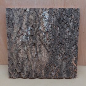 Cork Bark Background Panel 30x30cm - 19