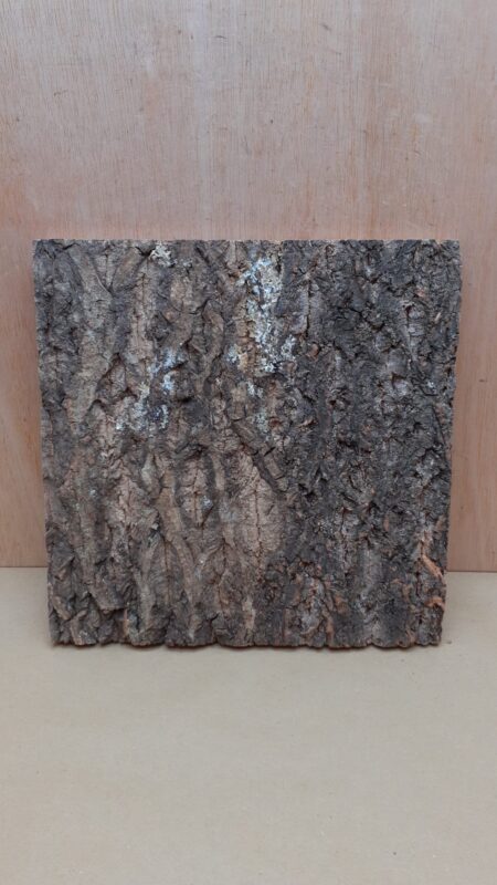 Cork Bark Background Panel 30x30cm - 19
