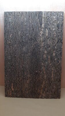 Cork Bark Background Panel 90x60cm - 12