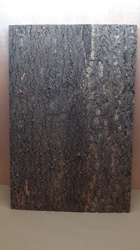 Cork Bark Background Panel 90x60cm - 12