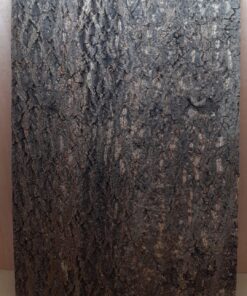 Cork Bark Background Panel 90x60cm - 13