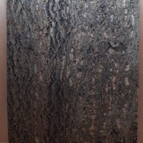 Cork Bark Background Panel 90x60cm - 13