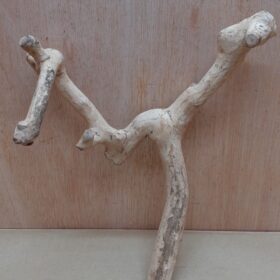 Java Wood - Double Stem - Small 11