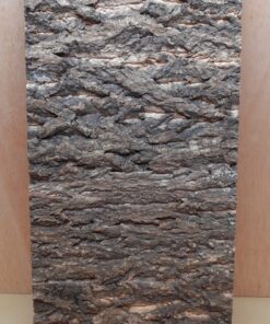Cork Bark Background Panel 30x60cm - 12
