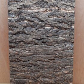 Cork Bark Background Panel 30x60cm - 12