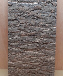 Cork Bark Background Panel 30x60cm - 13