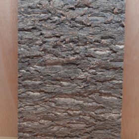 Cork Bark Background Panel 30x60cm - 13