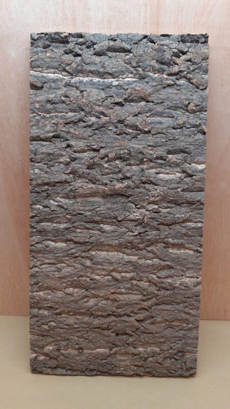 Cork Bark Background Panel 30x60cm - 13