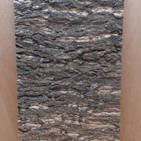 Cork Bark Background Panel 30x60cm - 18