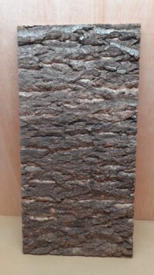 Cork Bark Background Panel 30x60cm - 20