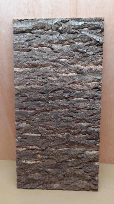 Cork Bark Background Panel 30x60cm - 20
