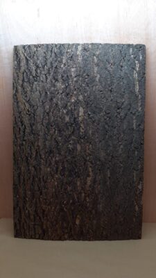 Cork Bark Background Panel 90x60cm - 14
