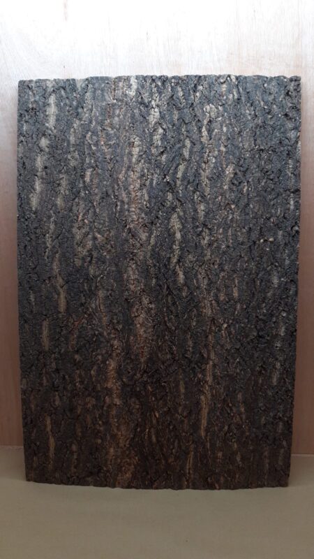 Cork Bark Background Panel 90x60cm - 16